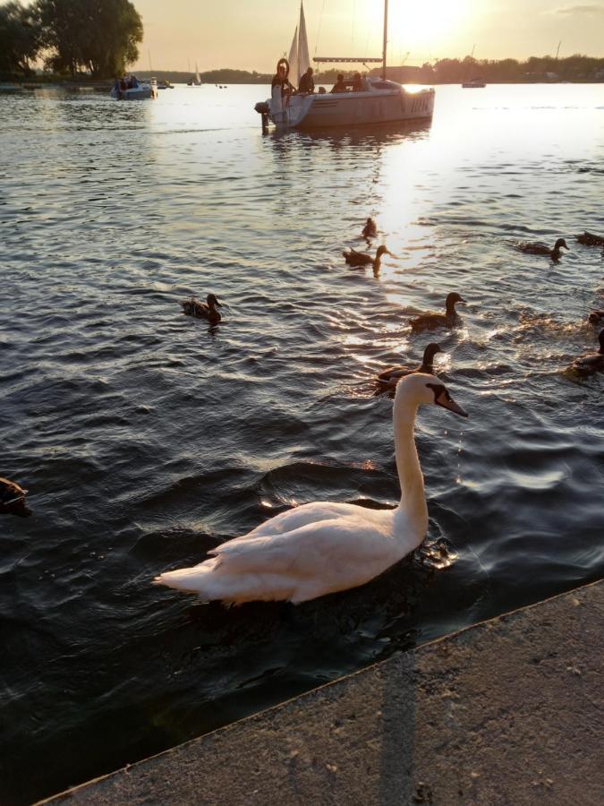 Domek Letniskowy Ostroda Arizona ภายนอก รูปภาพ